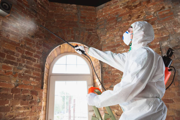 Best Residential Mold Inspection & Testing  in County Center, VA